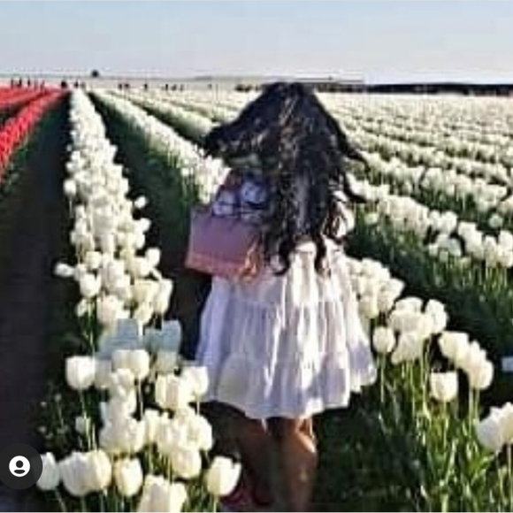 Meet your Posher, Amal - Picture 11 of 12